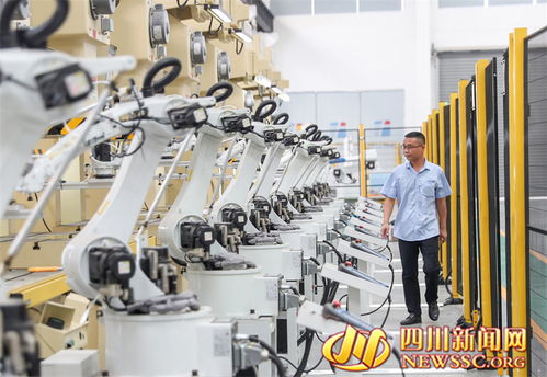 四川廣安 以新質生產力構筑 產業(yè)支撐 新高地 圖